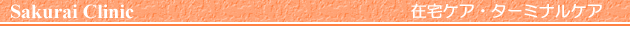 �ݑ�P�A